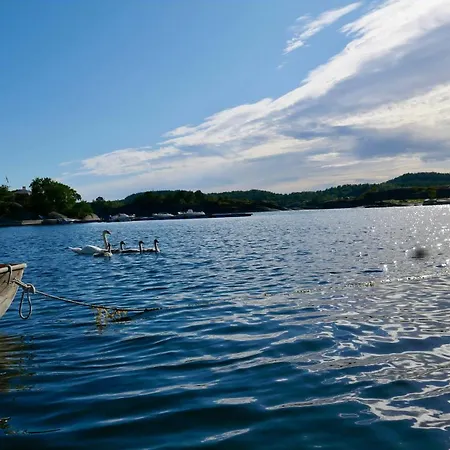 펜션 With Sunset Views And Private Dock *