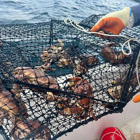 度假居 With Sunset Views And Private Dock